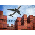 Transporte internacional Cargo Ship Services Air Freight de China a todo el mundo